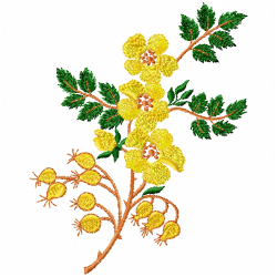Flowers And Tree Embroidery Design 6
